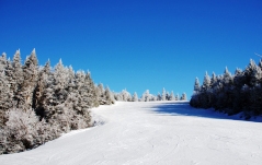 sneeuwzeker-saalbach-hinterglemm.jpg