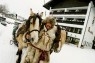 Wintersport Noorwegen Prijsvrij